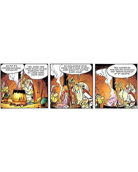 Ausschnitt des Buches zeigt Asterix-Comic im Aachener Dialek t